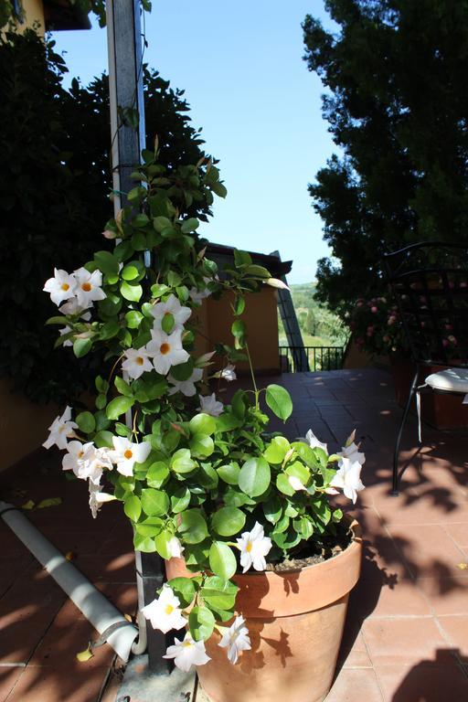 Albergo La Pieve Castelfiorentino Εξωτερικό φωτογραφία
