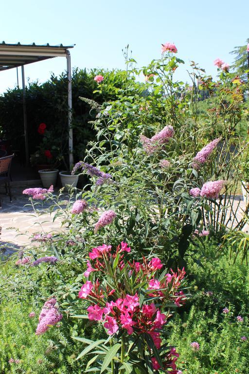 Albergo La Pieve Castelfiorentino Εξωτερικό φωτογραφία