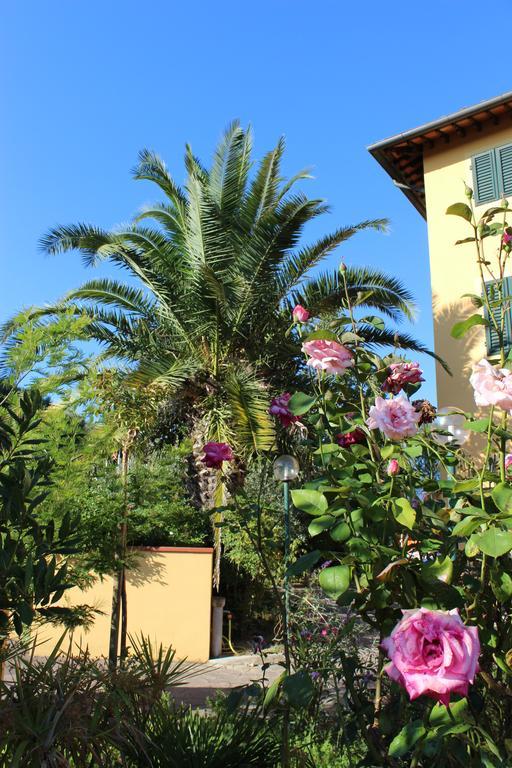 Albergo La Pieve Castelfiorentino Εξωτερικό φωτογραφία