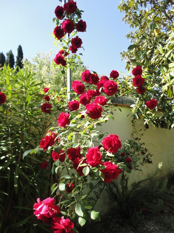 Albergo La Pieve Castelfiorentino Εξωτερικό φωτογραφία
